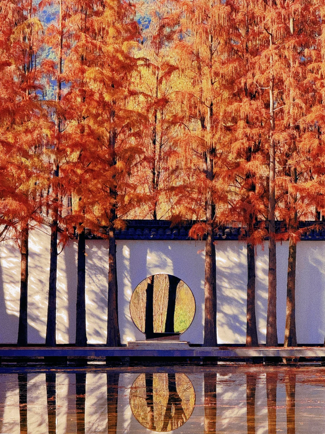 本以为西湖够美了,直到我去了杭州湘湖‼️