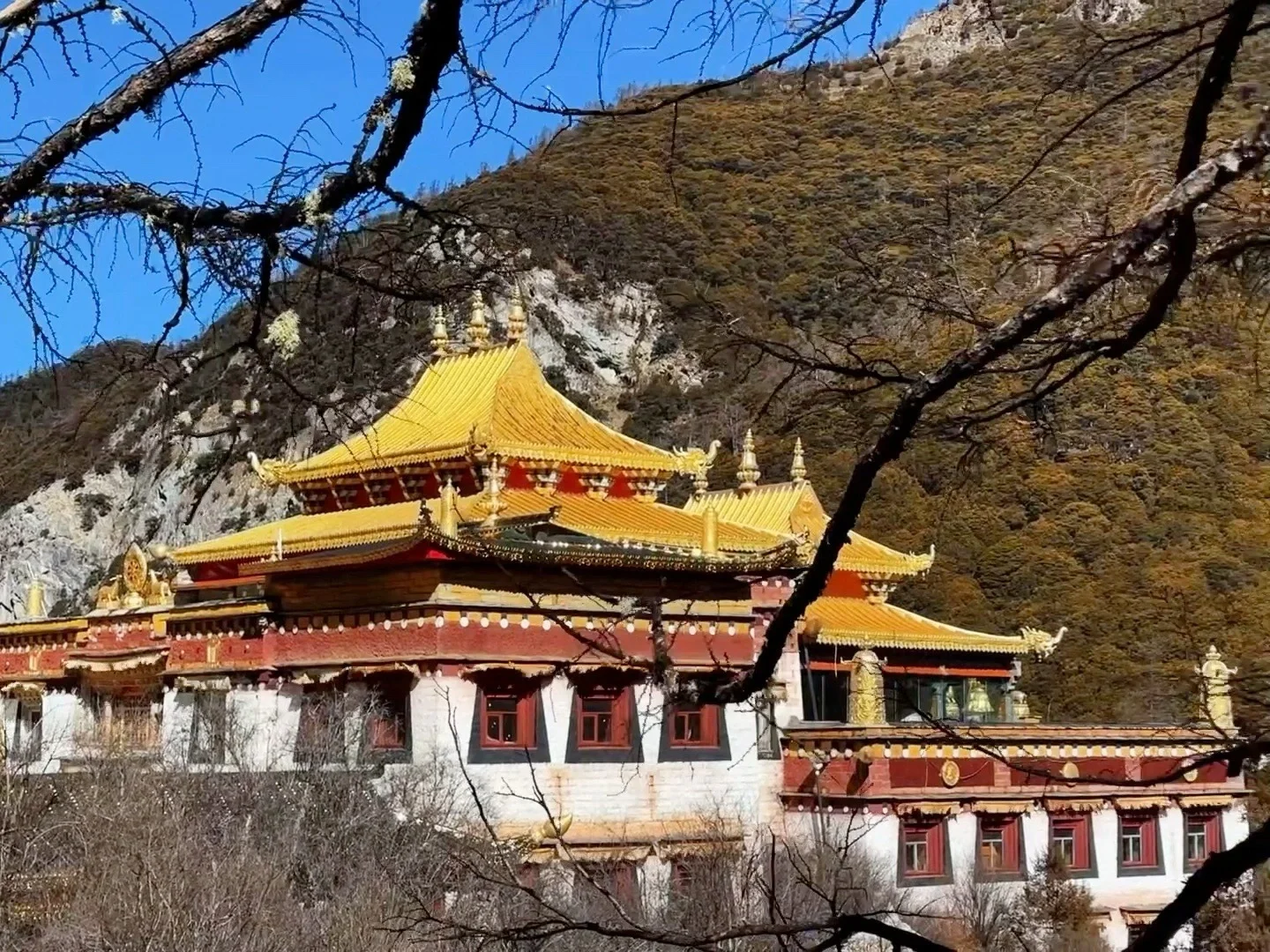 12.2📍四姑娘山真实现状，别被xhs骗了😂