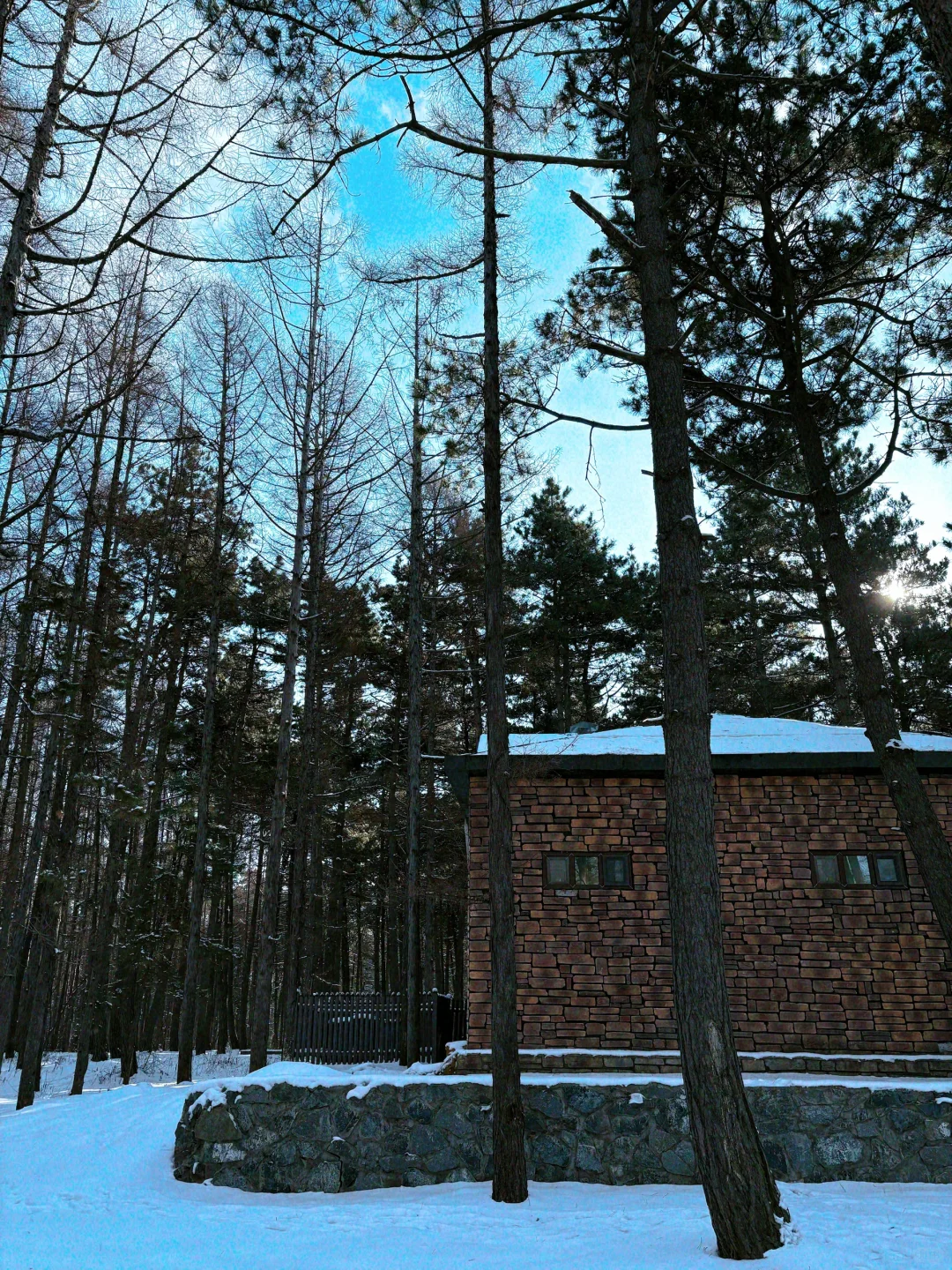 【长春净月潭】冬天里的蓝色北国公园❄️