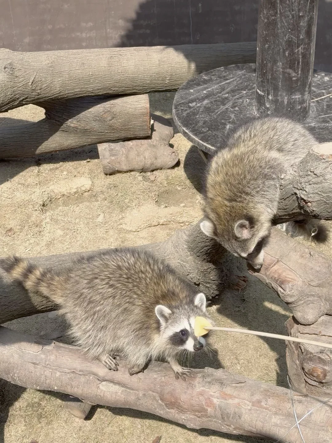 不是九寨沟!这是杭州!!只有0.1%人去过🍃