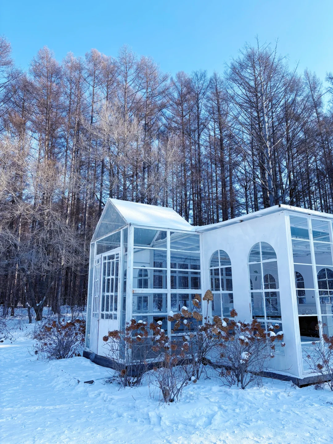 【长春净月潭】冬天里的蓝色北国公园❄️