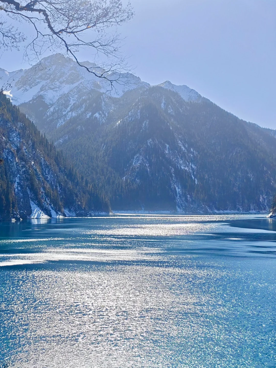 12.5📍九寨沟下雪❄已踩坑 但劝不了一点...