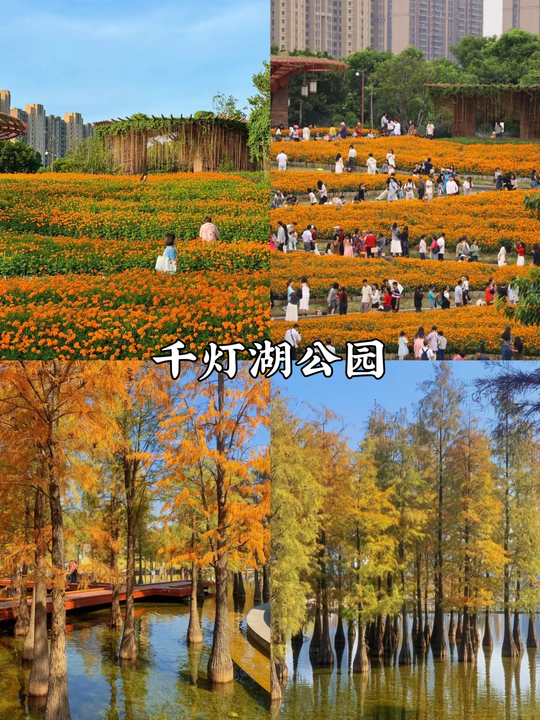 佛山周末好去处|九大必打卡景点🔥附攻略