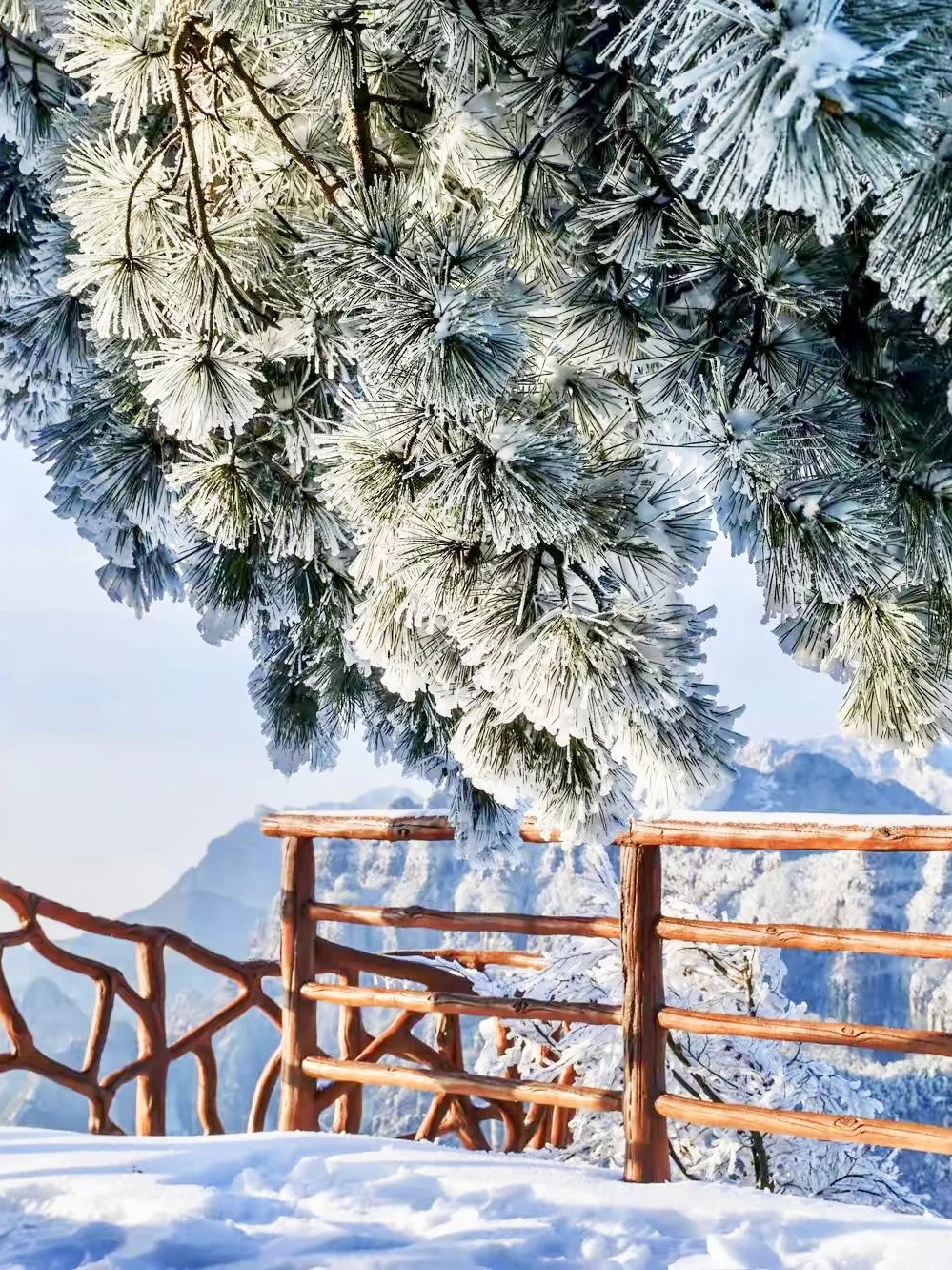 广深高铁2h直达!省时省钱的电梯雪山:郴州