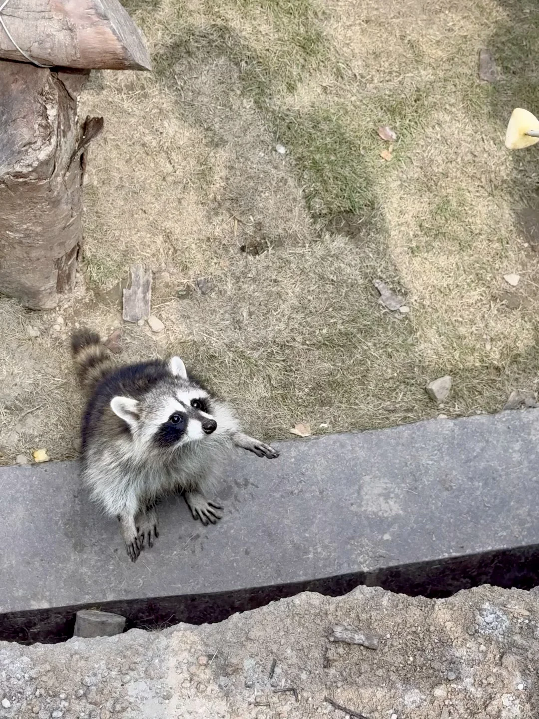 不是九寨沟!这是杭州!!只有0.1%人去过🍃
