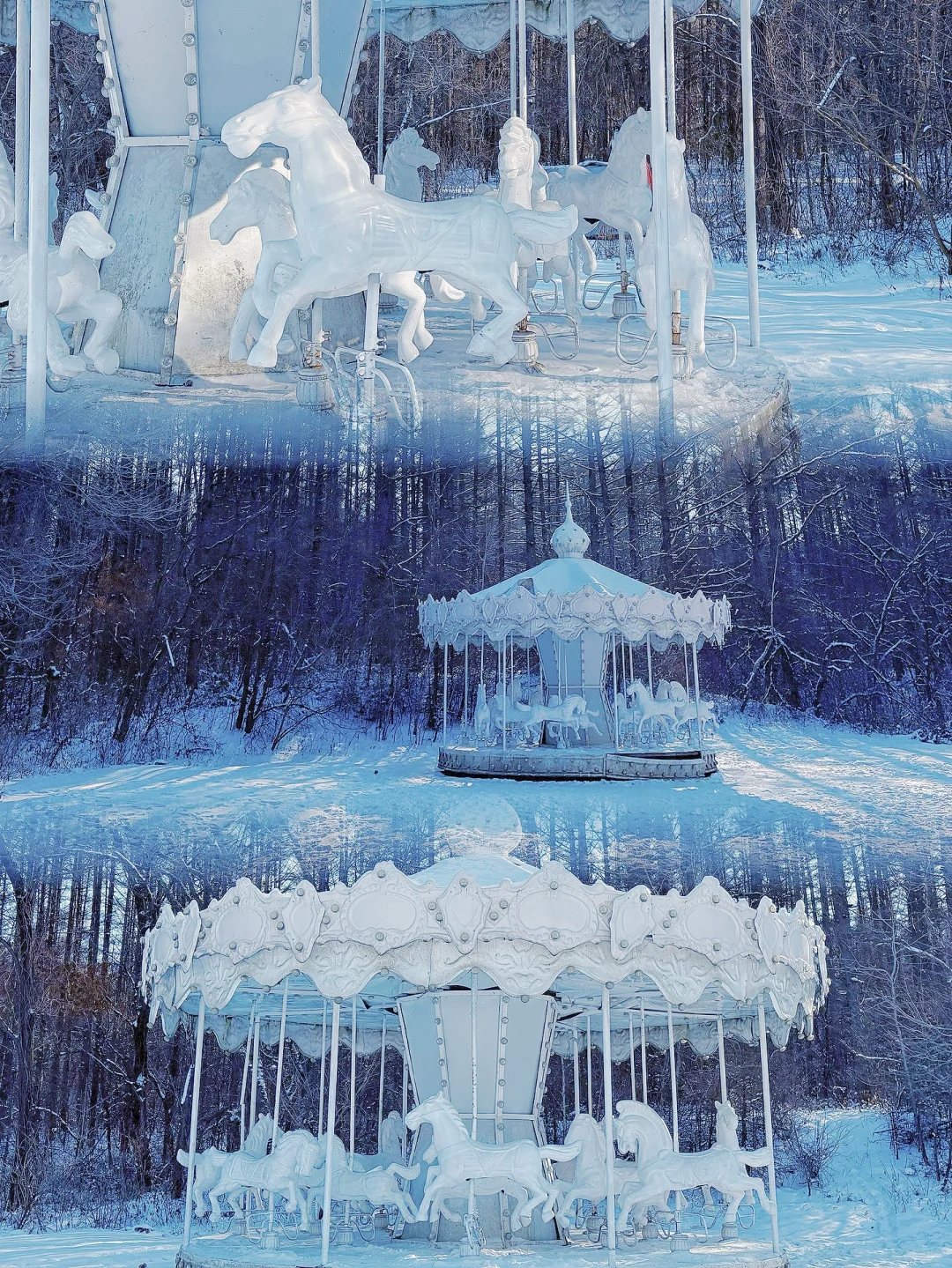 【长春净月潭】冬天里的蓝色北国公园❄️