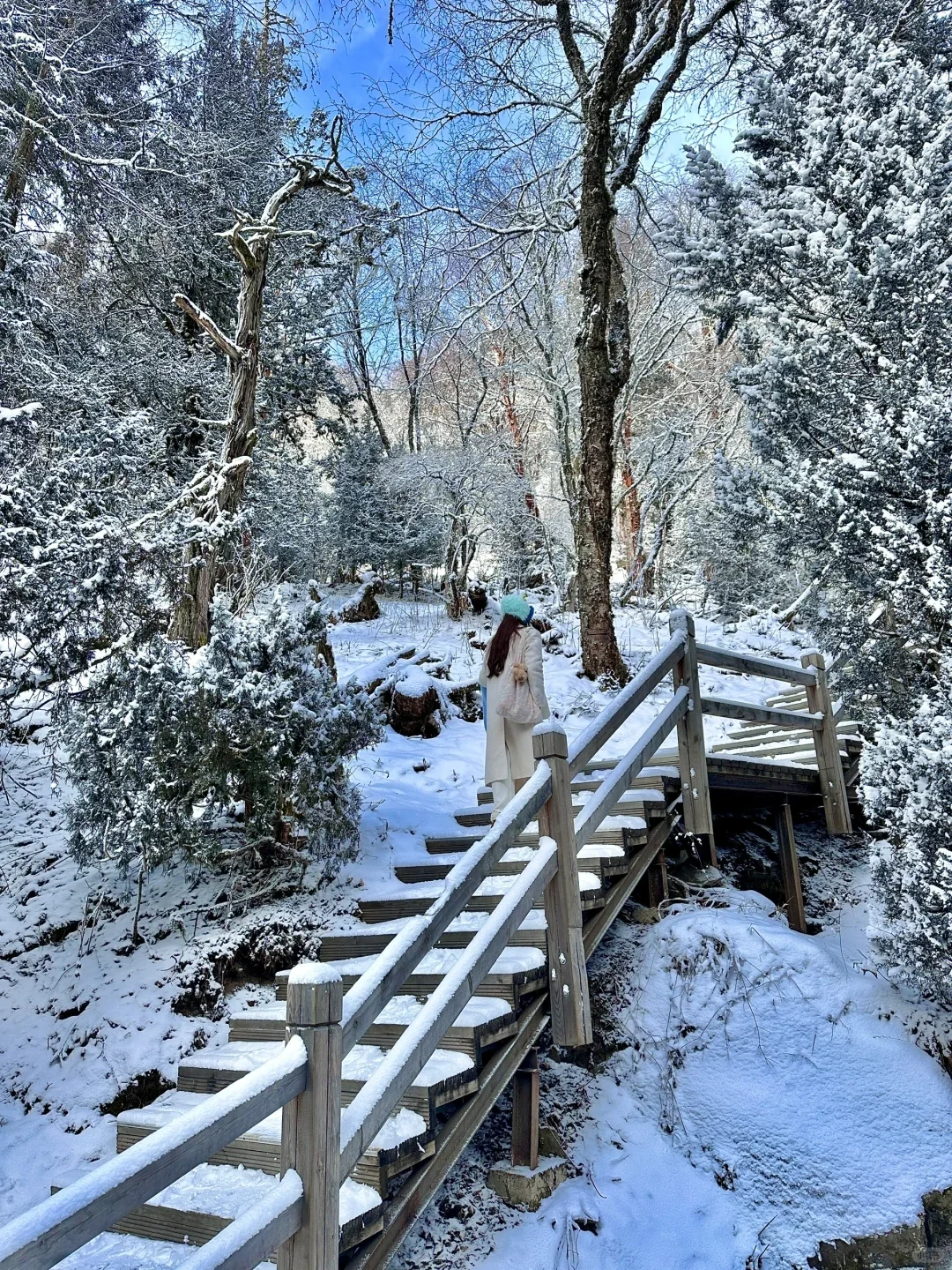 12.5淡季去四姑娘山玩3天,人均才💰560