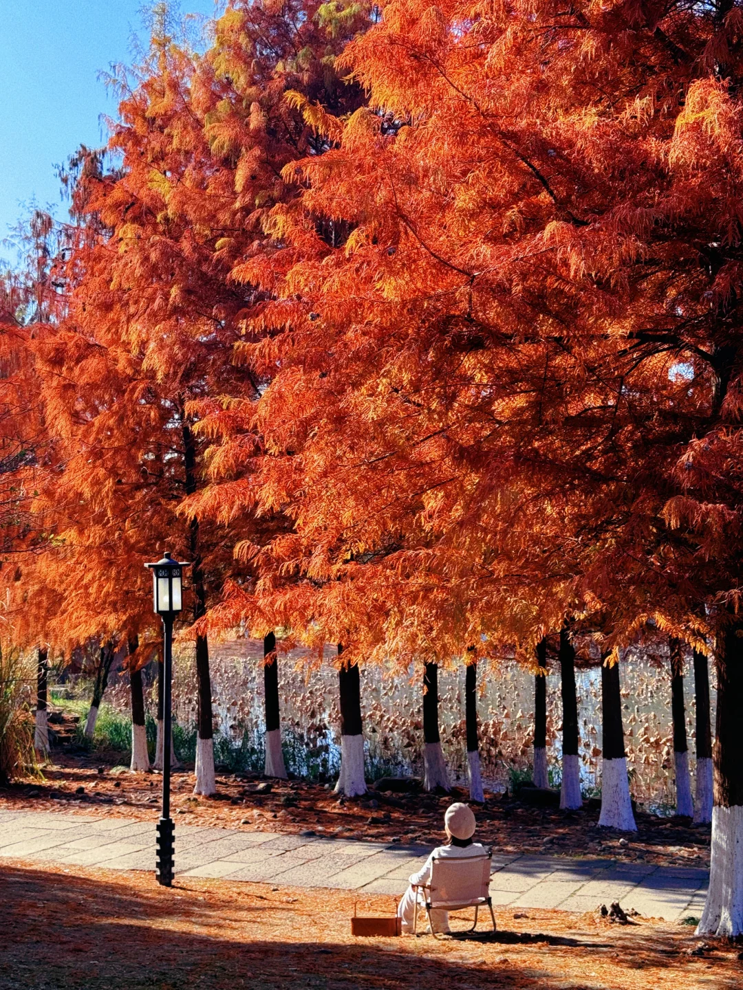 本以为西湖够美了,直到我去了杭州湘湖‼️