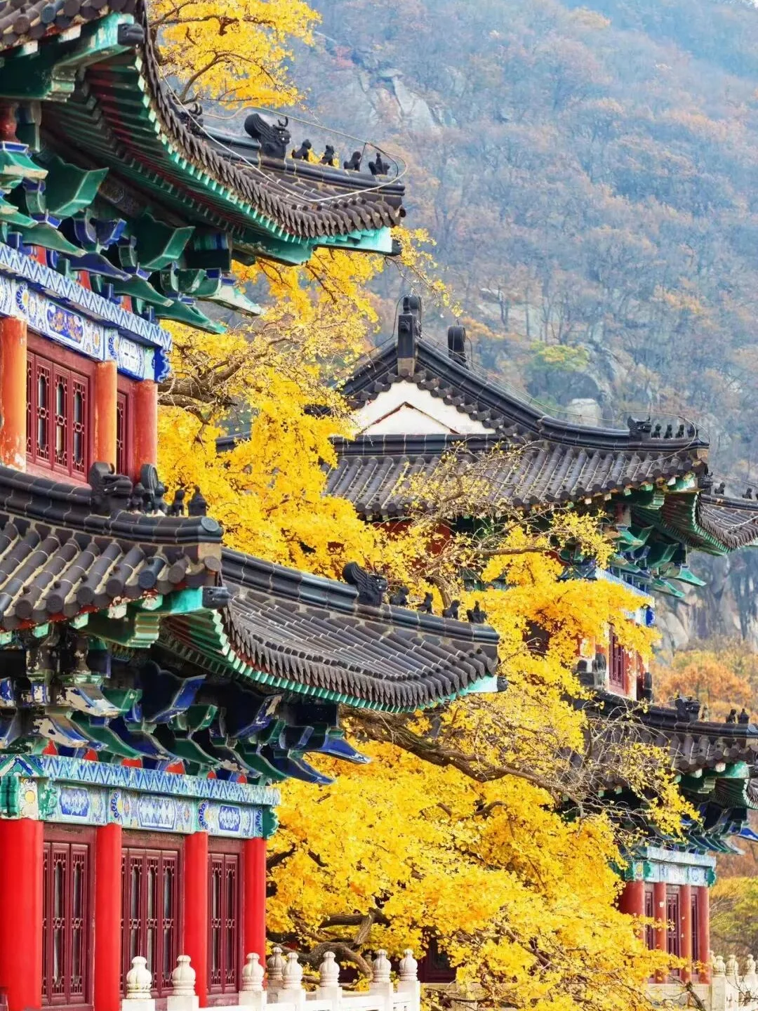 连云港花果山游玩攻略~