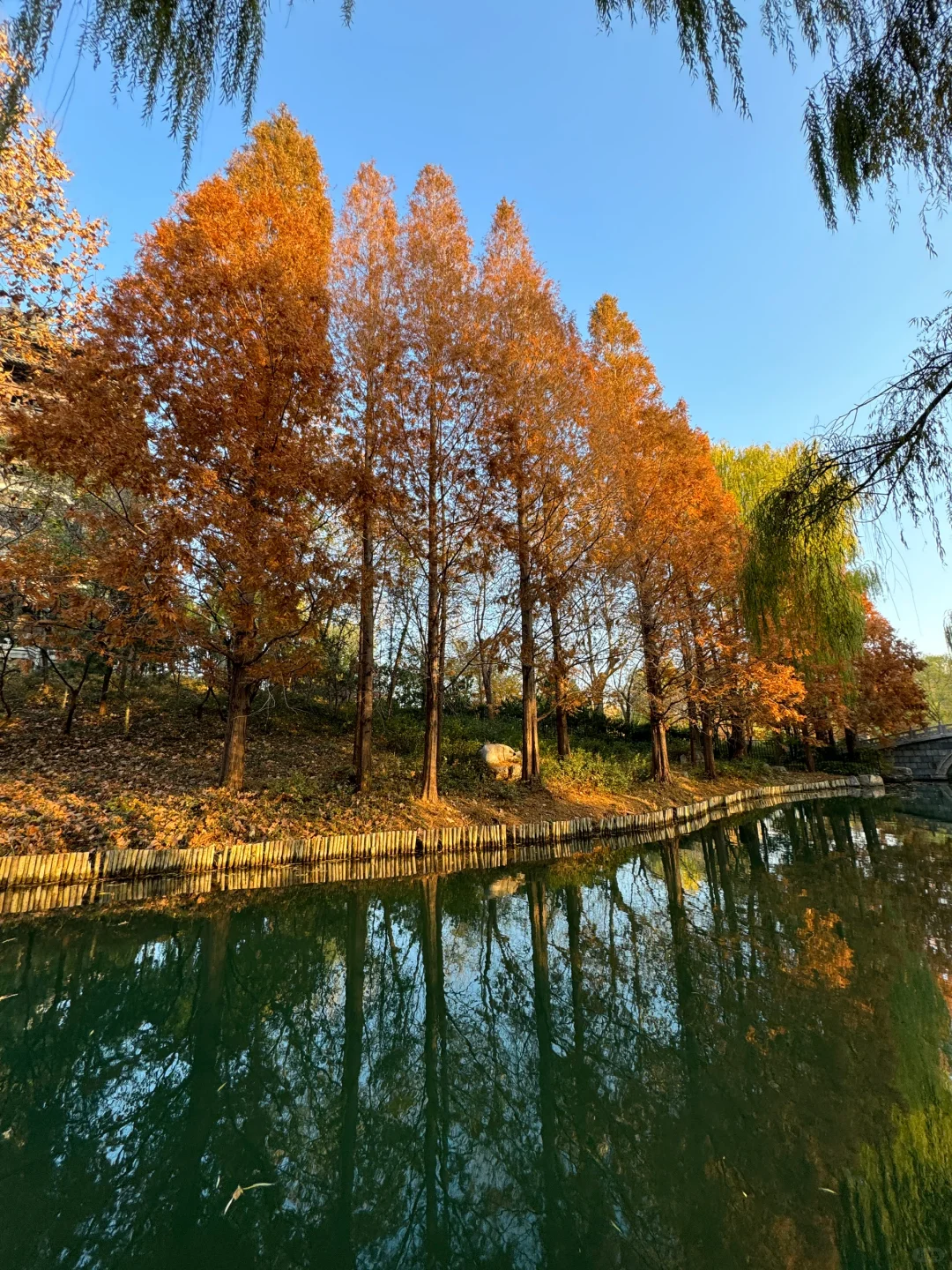 12.5实况！济南大明湖四象限好美！附攻略