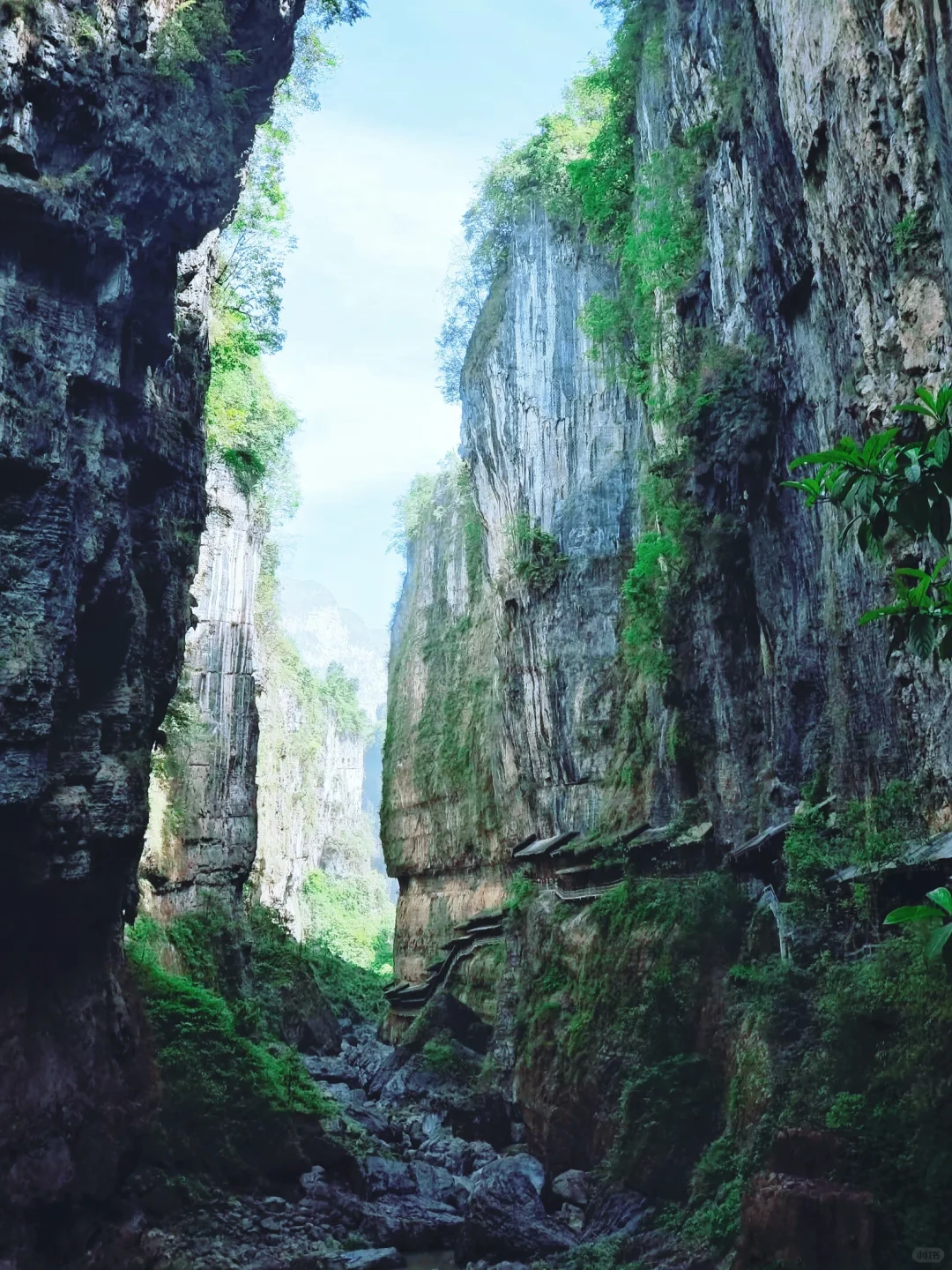 恩施大峡谷｜北纬30°地球最美的伤痕🌍