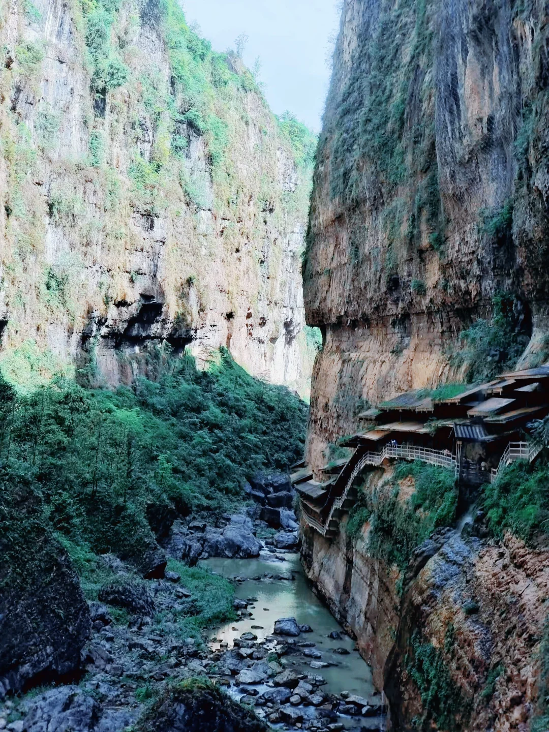 恩施大峡谷｜北纬30°地球最美的伤痕🌍