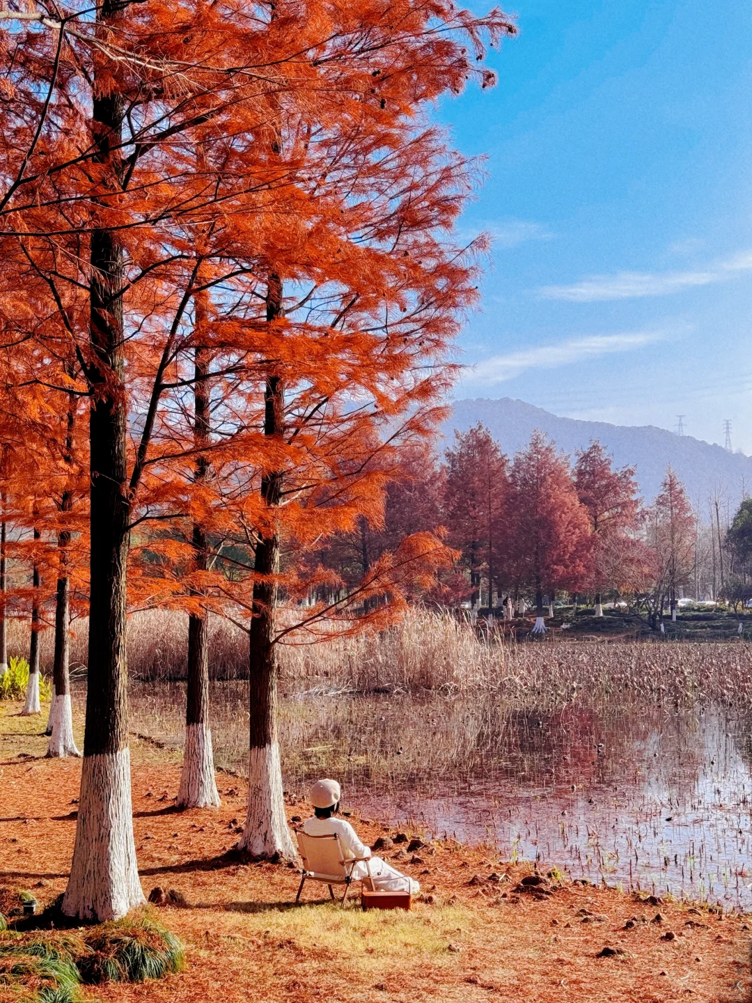 本以为西湖够美了,直到我去了杭州湘湖‼️