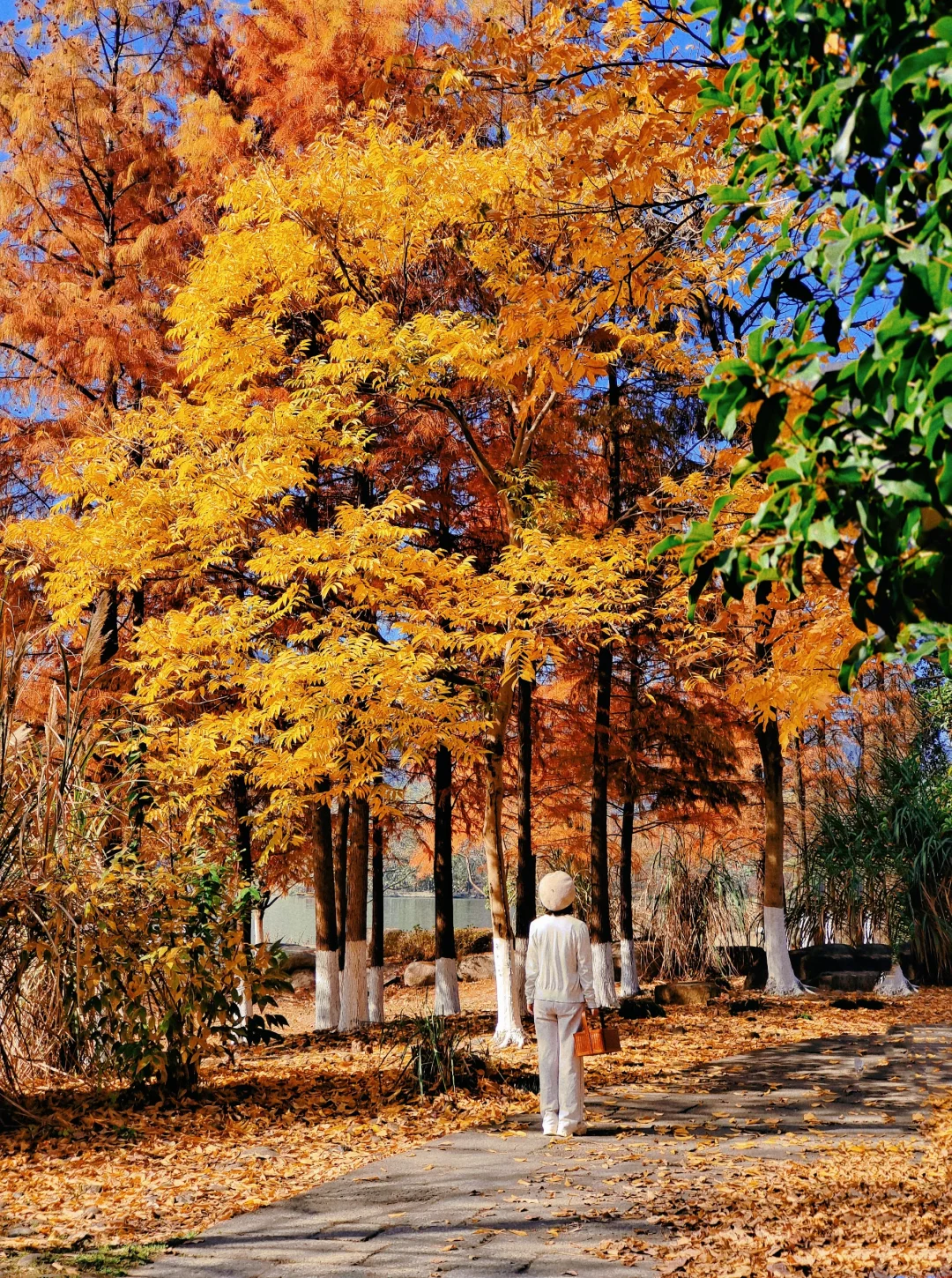 本以为西湖够美了,直到我去了杭州湘湖‼️