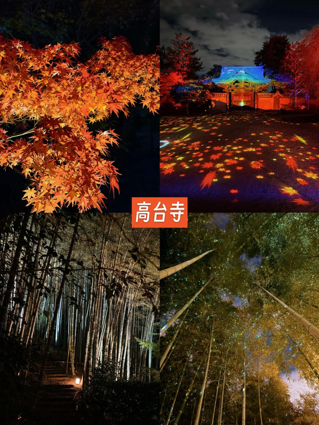 京都🍁10个热门红叶景点！实拍测评来了！