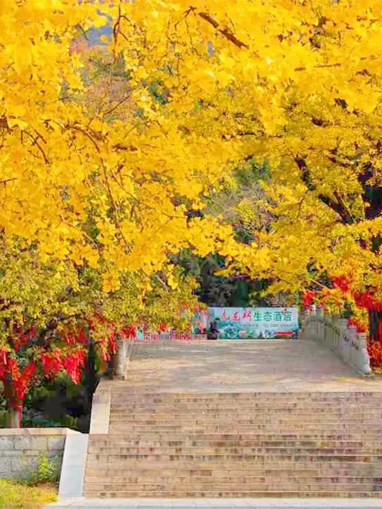 连云港花果山游玩攻略~