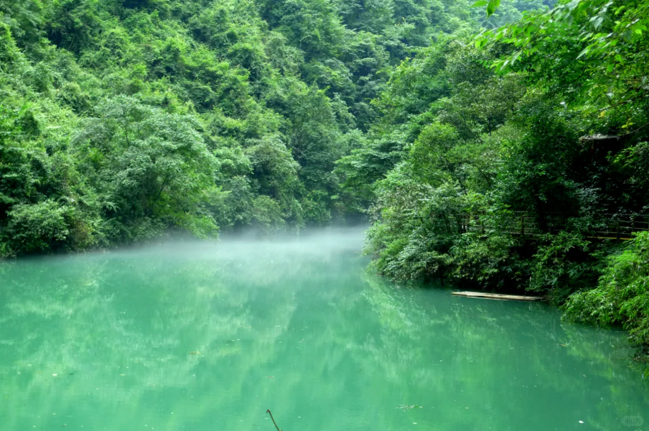 张家界大峡谷景区-玻璃桥
