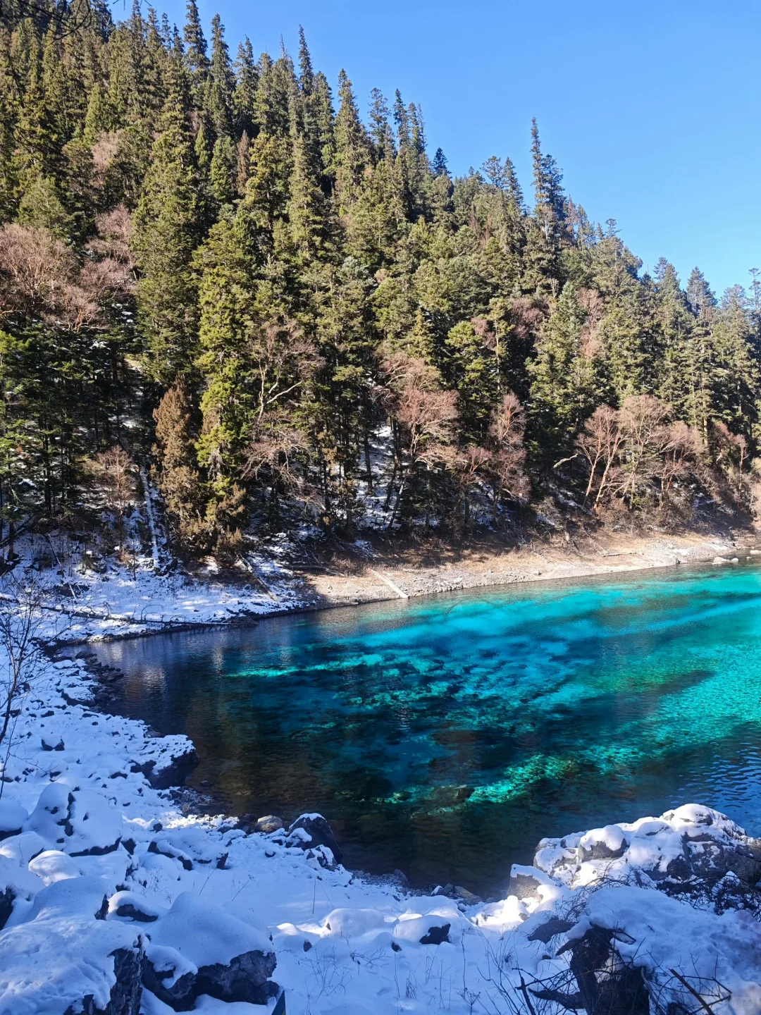 12.5📍九寨沟下雪❄已踩坑 但劝不了一点...