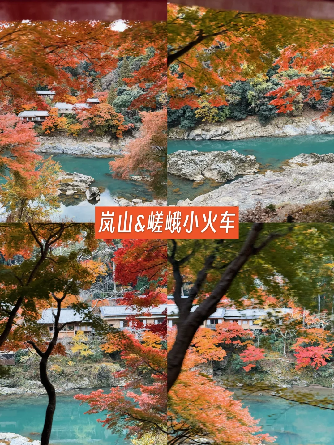 京都🍁10个热门红叶景点！实拍测评来了！
