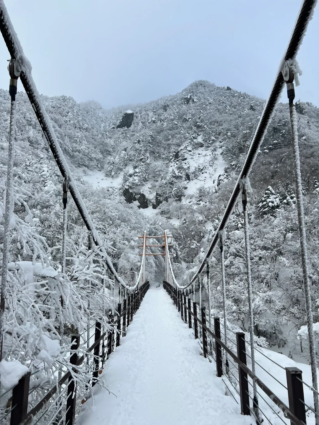 冬天一定要来济州岛看次海 (冬季打卡地）