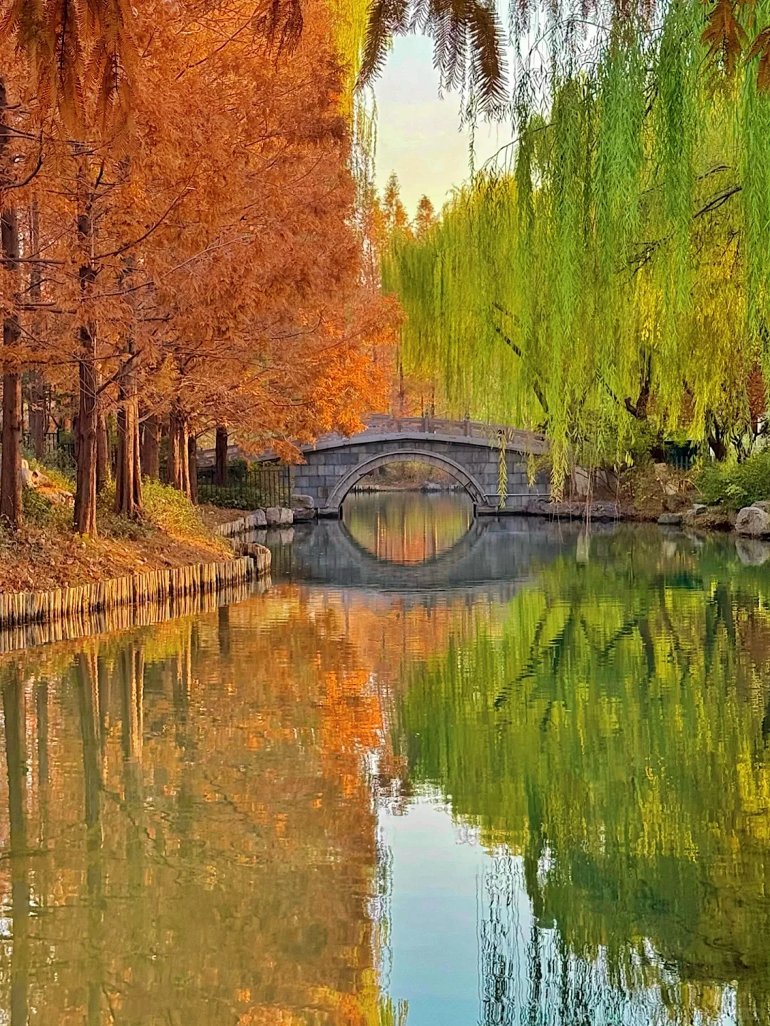 起猛了❗️在大明湖拍到了四象限……附位置