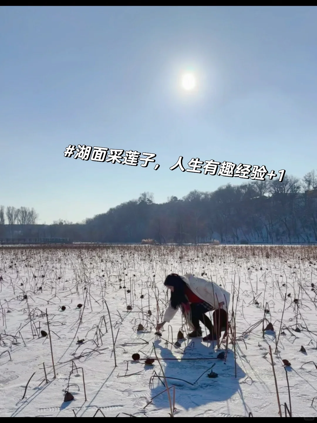 【长春净月潭】冬天里的蓝色北国公园❄️