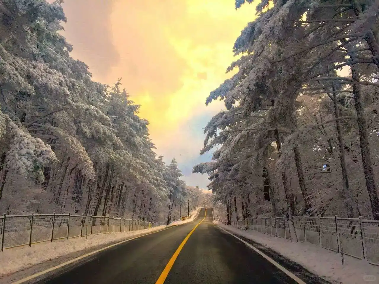 冬天一定要来济州岛看次海 (冬季打卡地）
