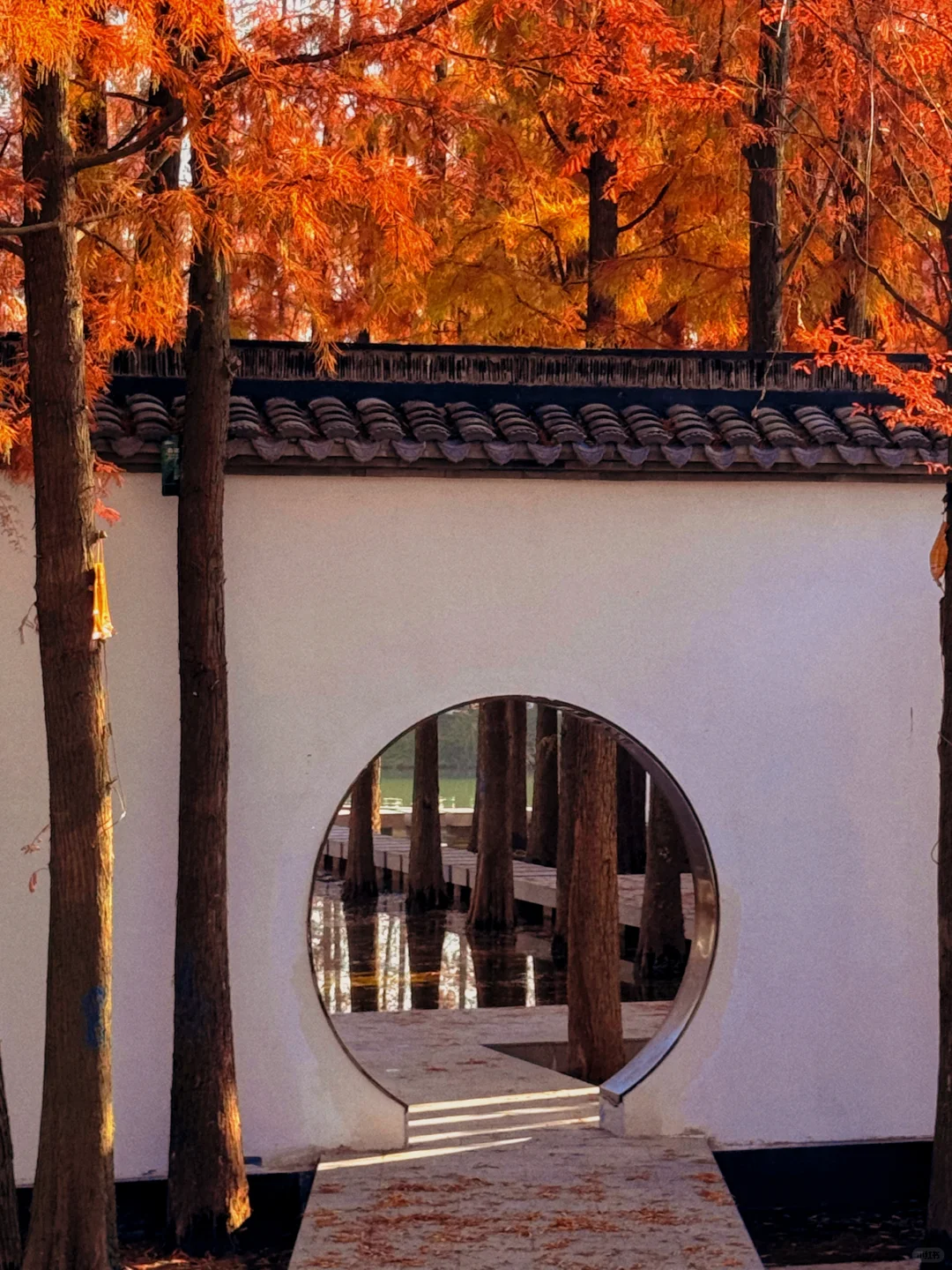 本以为西湖够美了,直到我去了杭州湘湖‼️