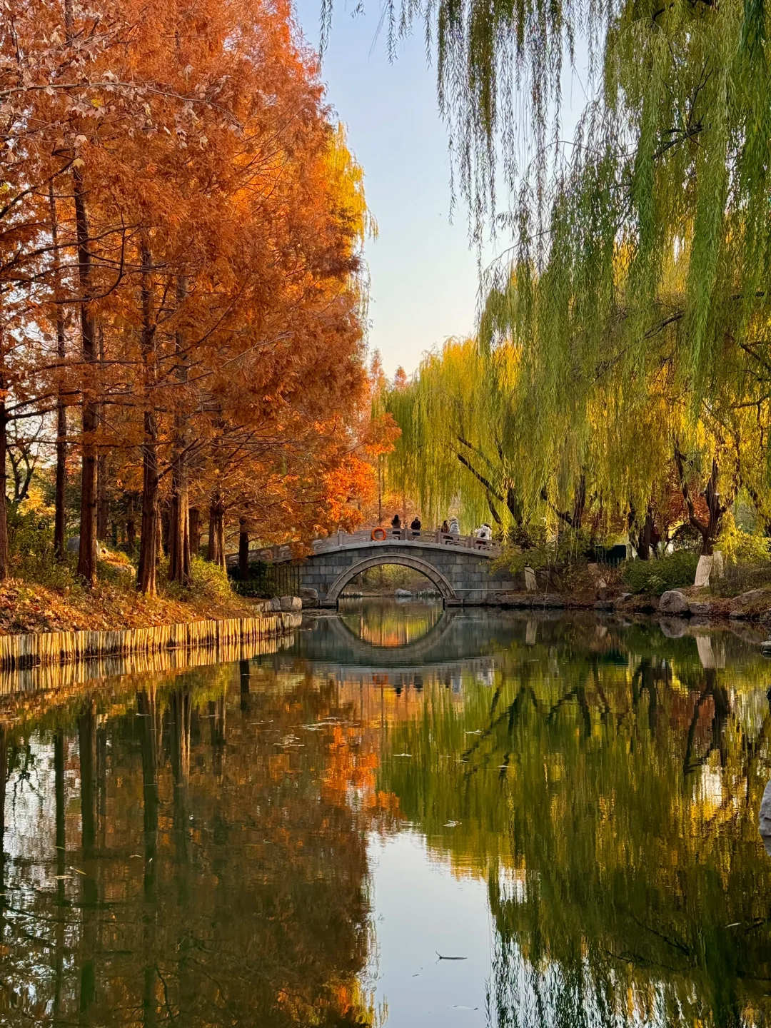 12.5实况！济南大明湖四象限好美！附攻略