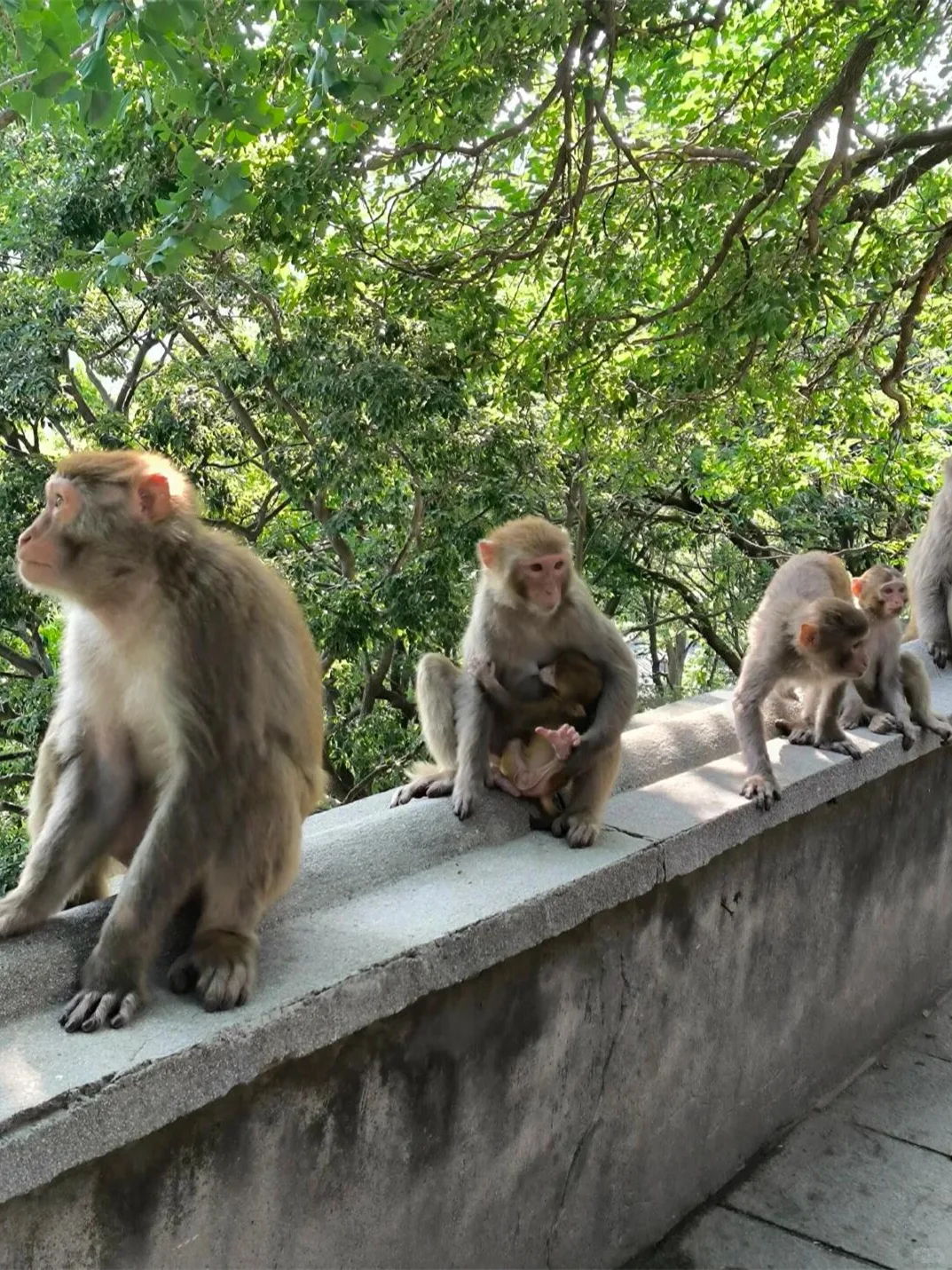 连云港花果山游玩攻略~