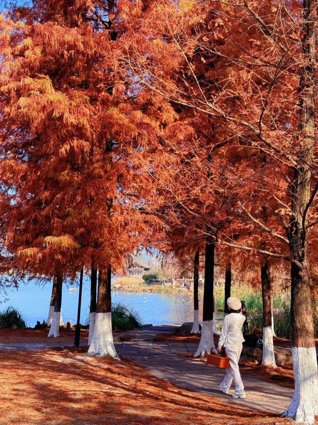 本以为西湖够美了,直到我去了杭州湘湖‼️