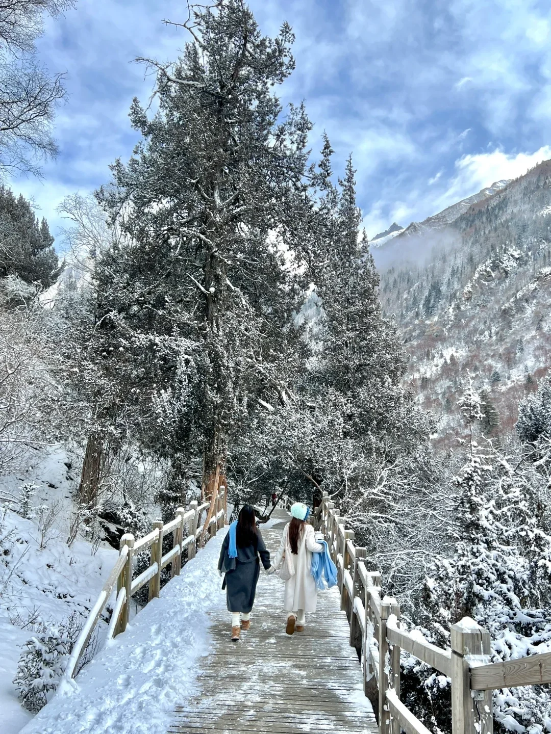 12.5淡季去四姑娘山玩3天,人均才💰560