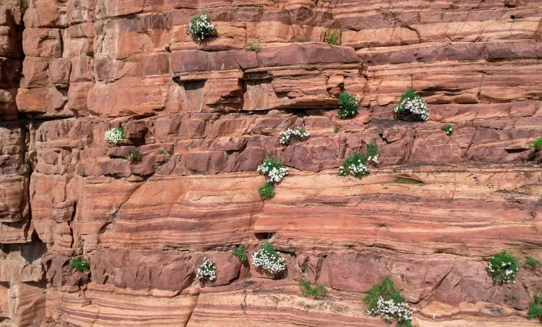 东太行景区攻略