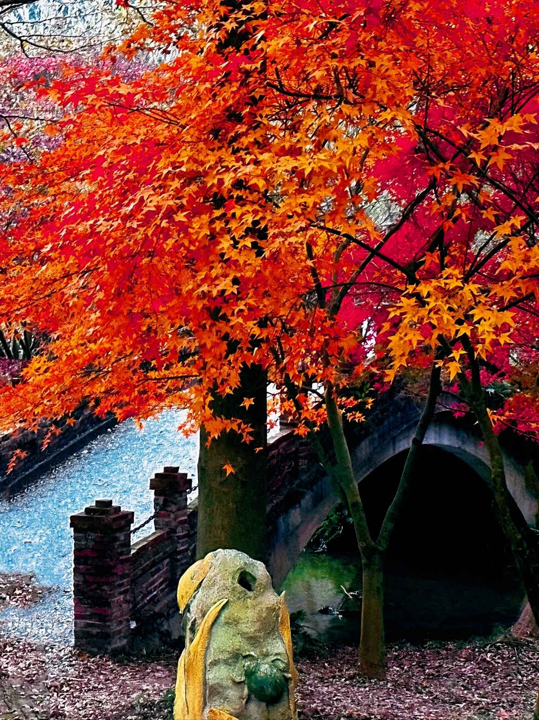 广州出发只需1.5h 属于广东人的红🍁