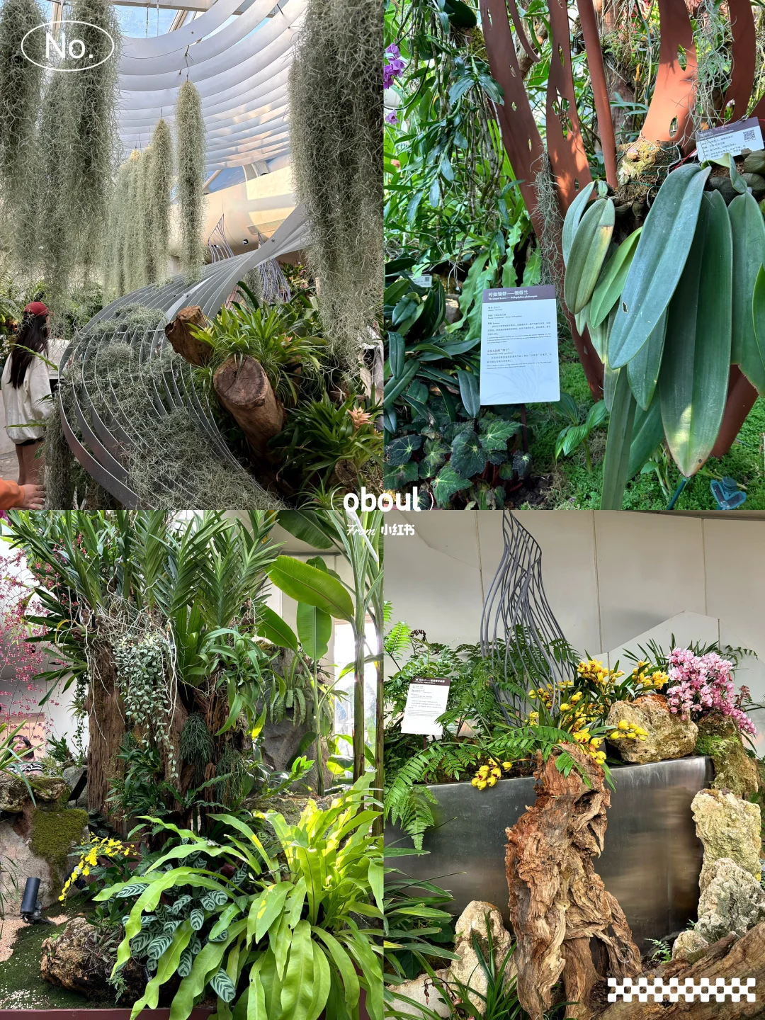 哇！广州又新晋一网红地！打卡走起！