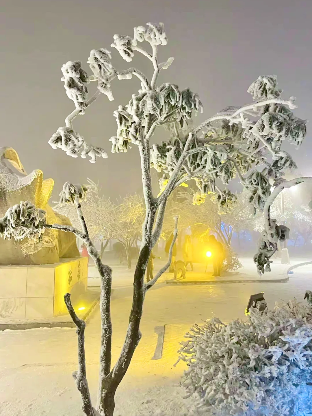 去年在庐山走了4万步,教你2日游玩精华景点