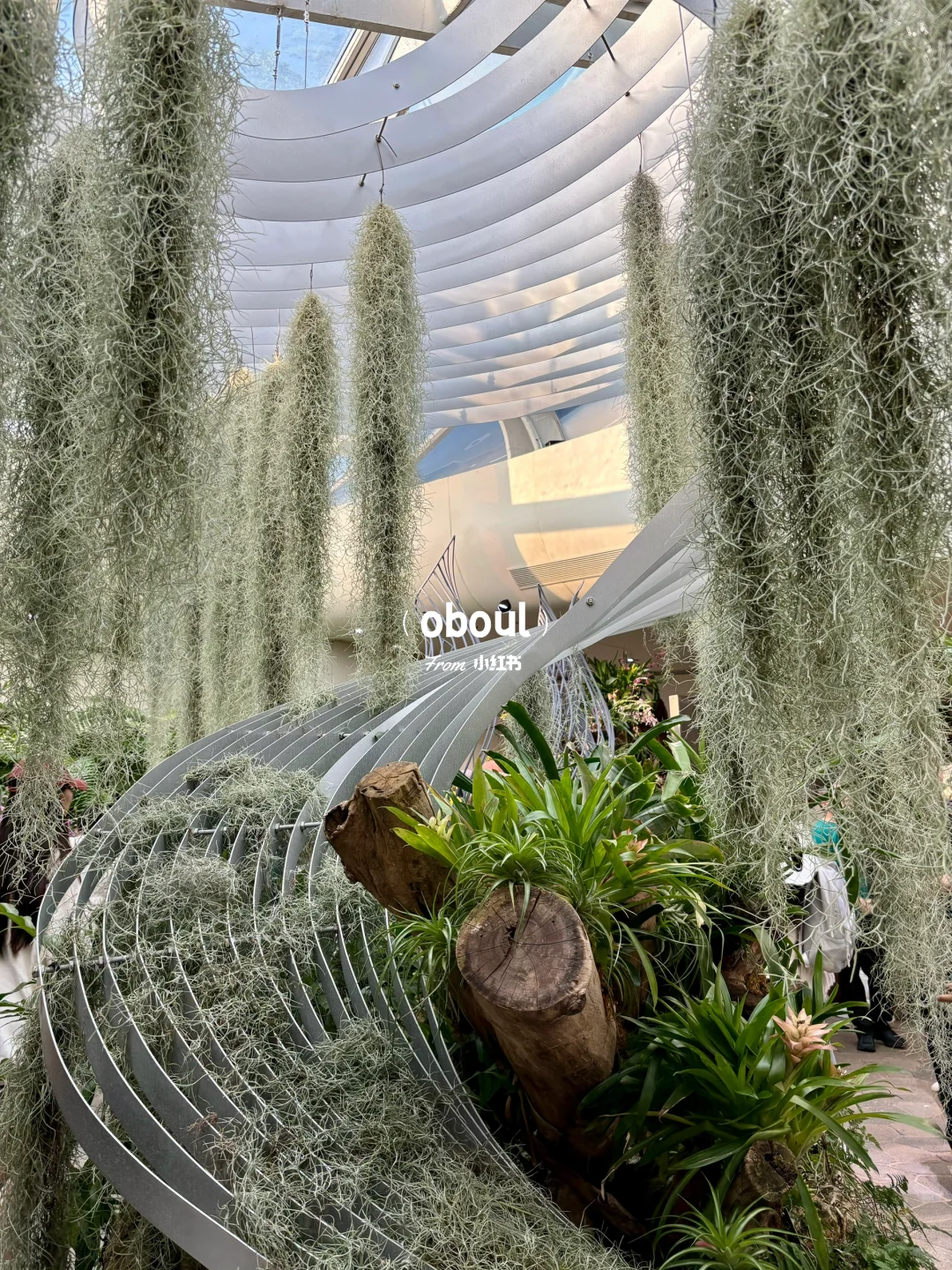 哇！广州又新晋一网红地！打卡走起！