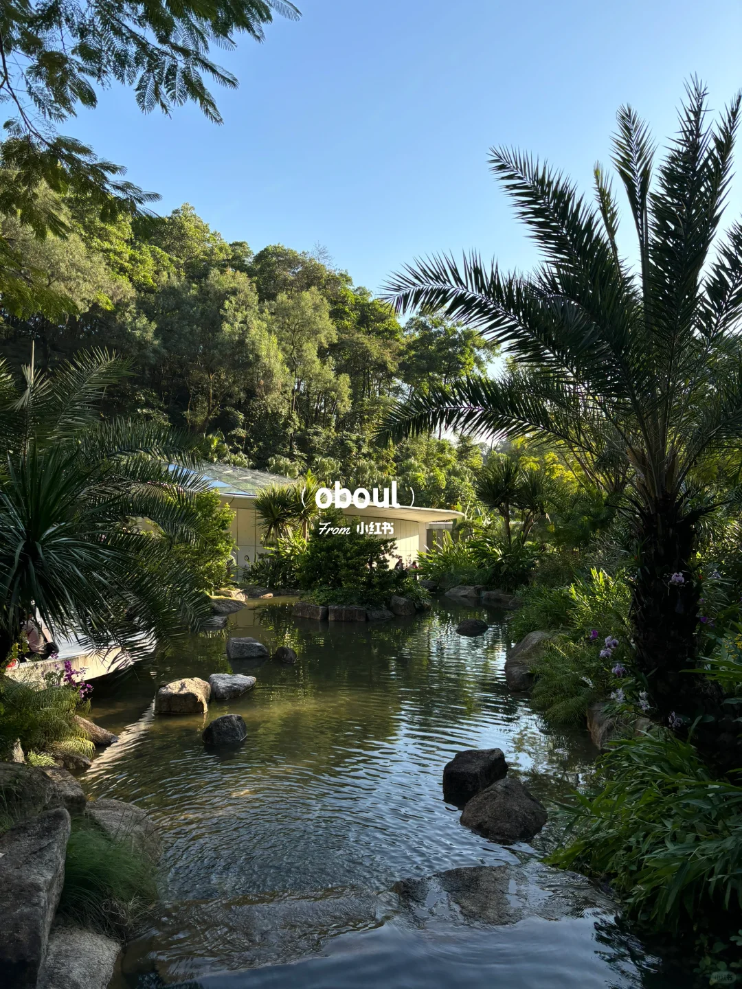 哇！广州又新晋一网红地！打卡走起！