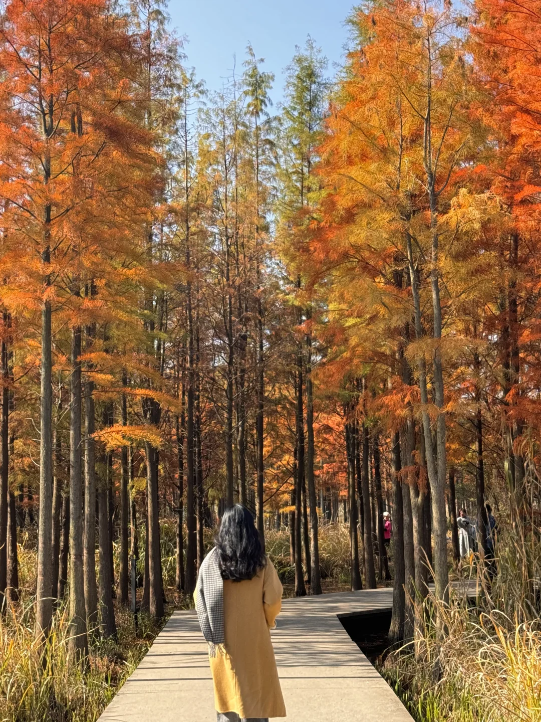 南昌小众景点合集（全部免费）