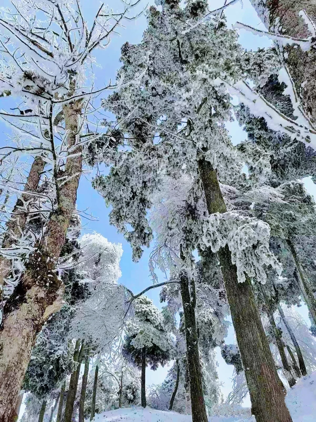 去年在庐山走了4万步,教你2日游玩精华景点