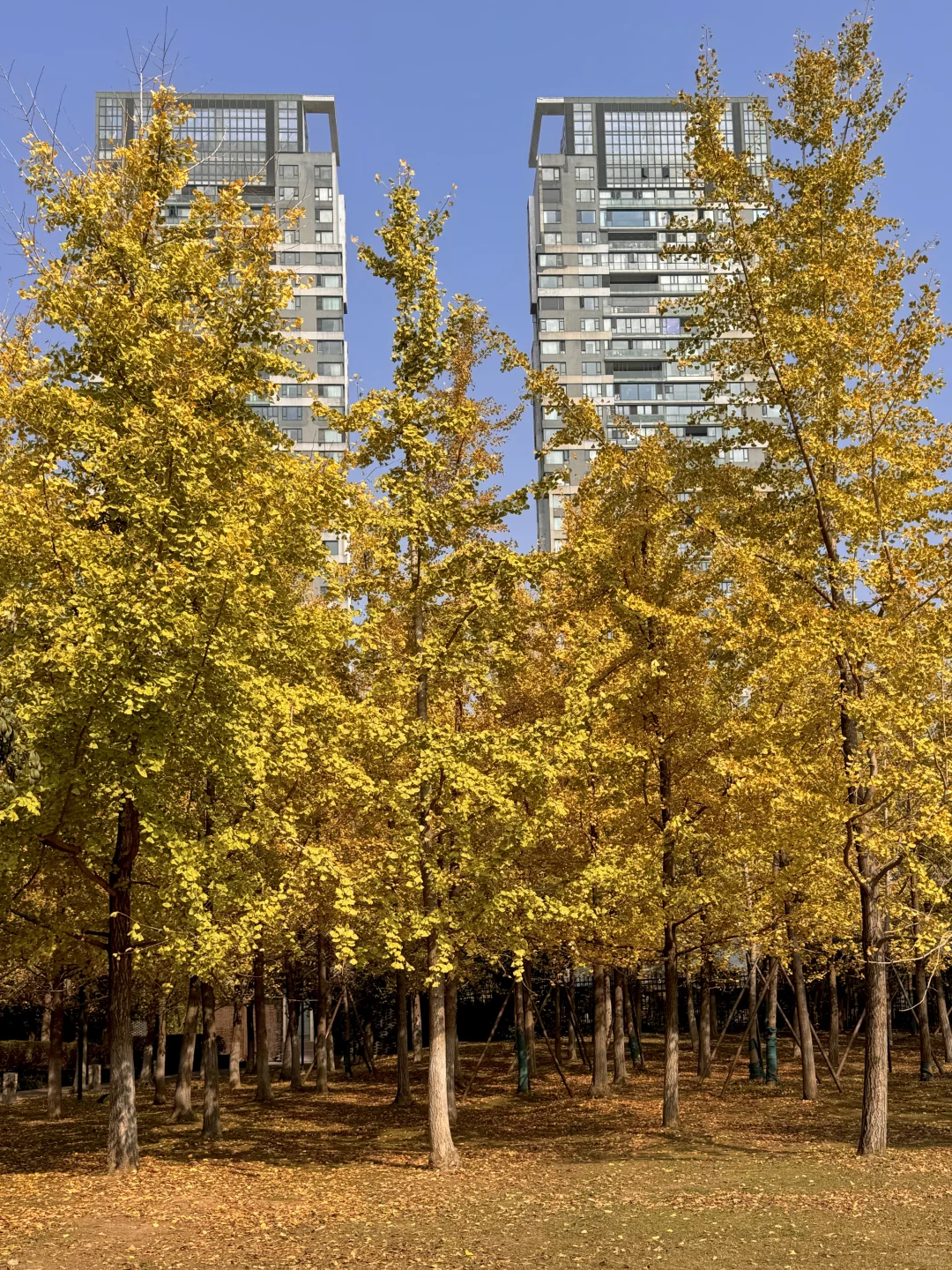 南昌小众景点合集（全部免费）