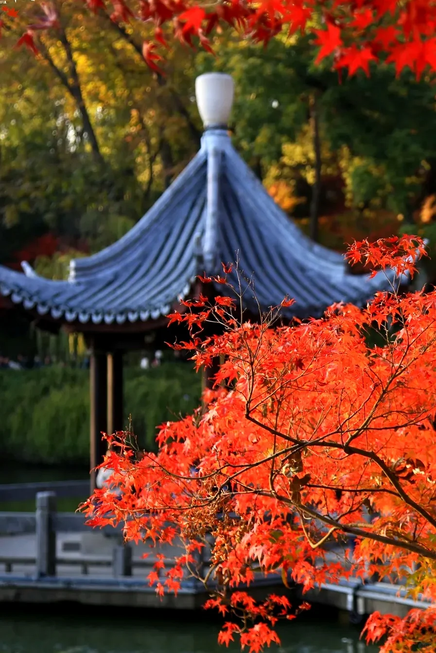 栖霞山已回，最全避坑指南（必看）