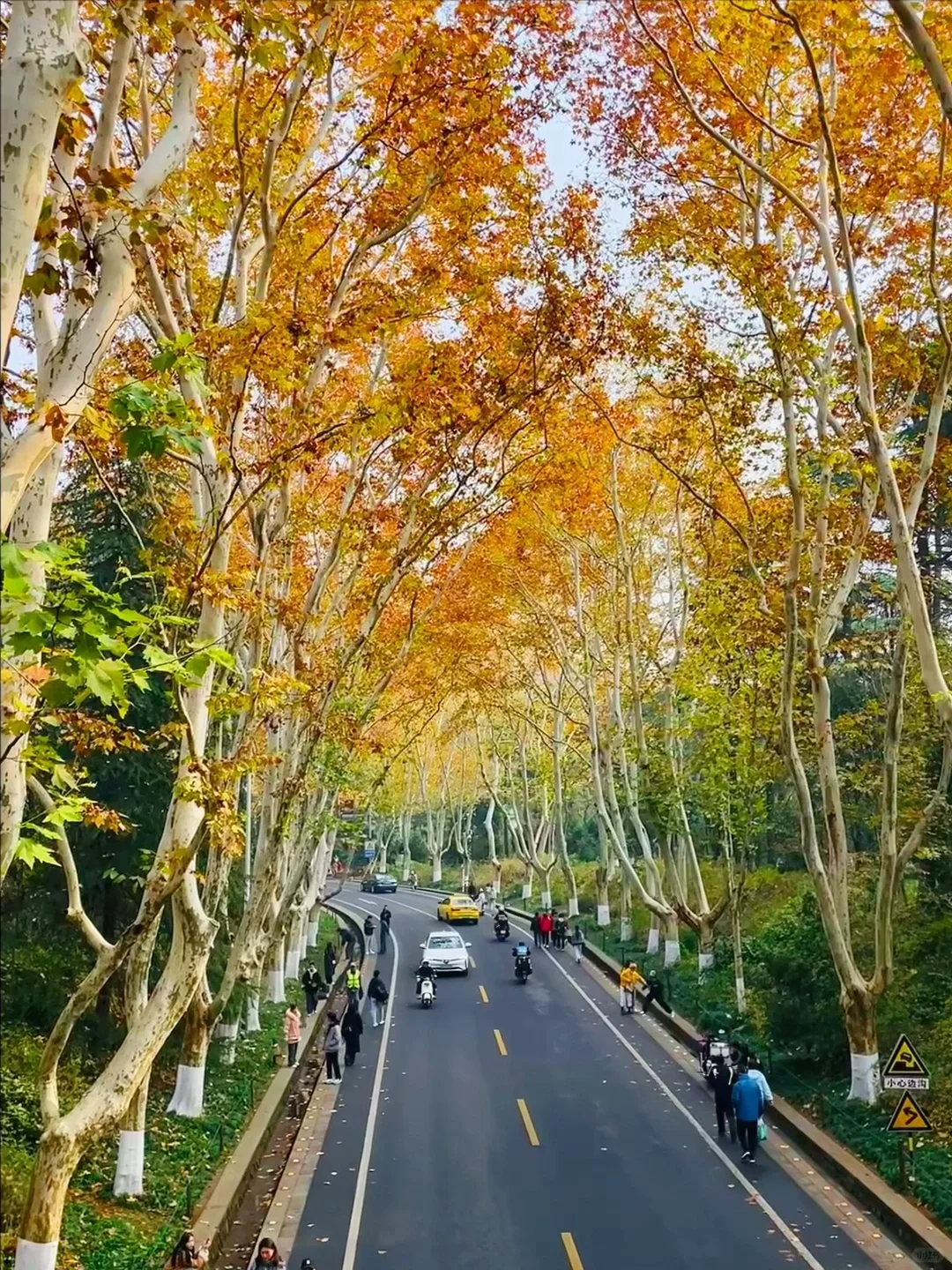 《江苏·南京》景点合集