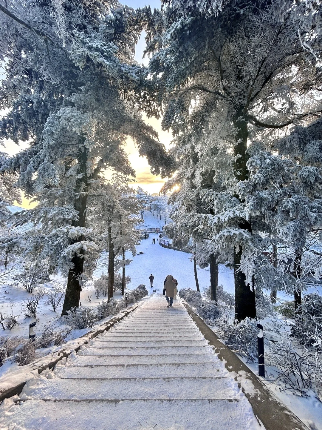 去年在庐山走了4万步,教你2日游玩精华景点