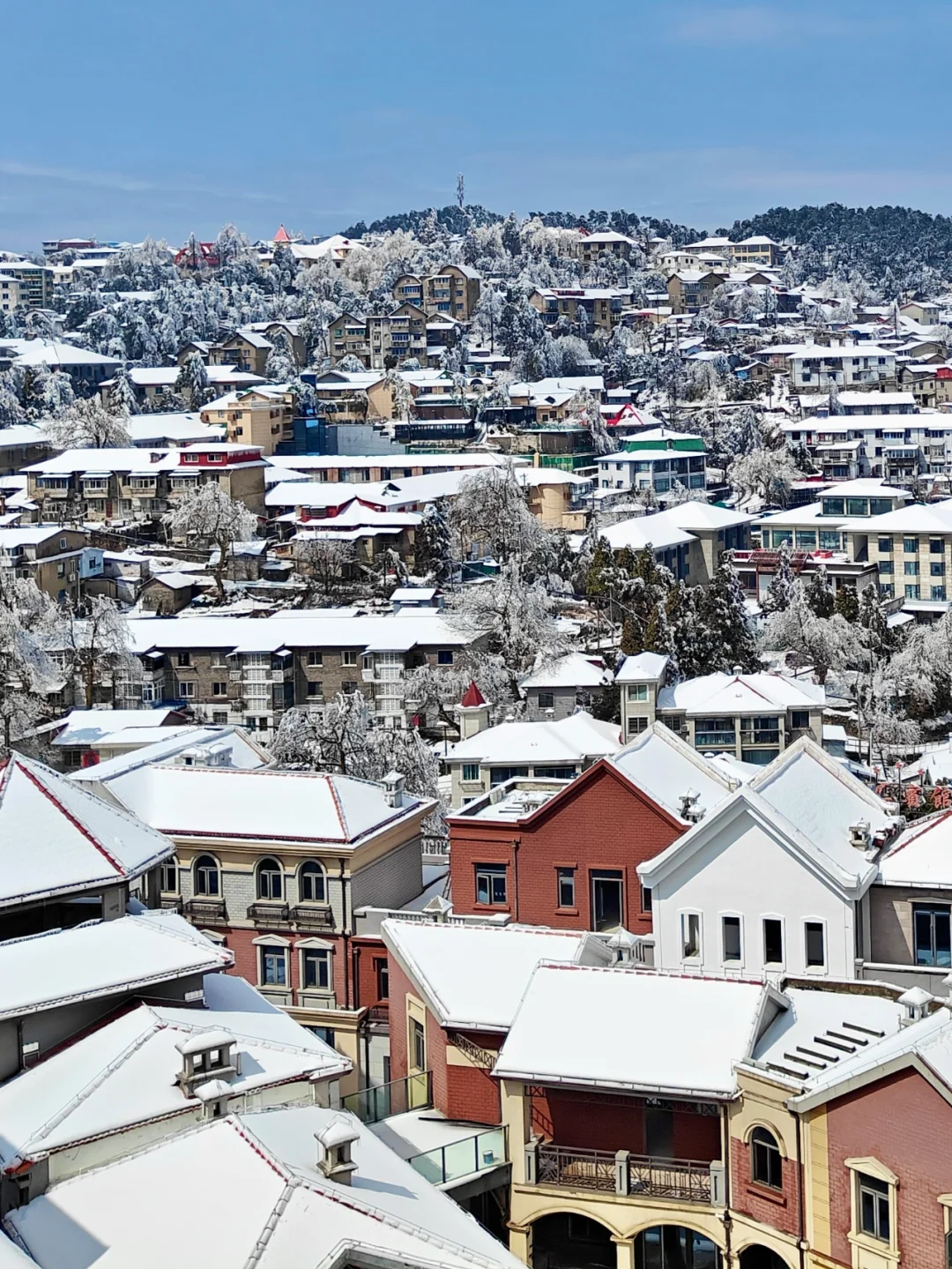 去年在庐山走了4万步,教你2日游玩精华景点