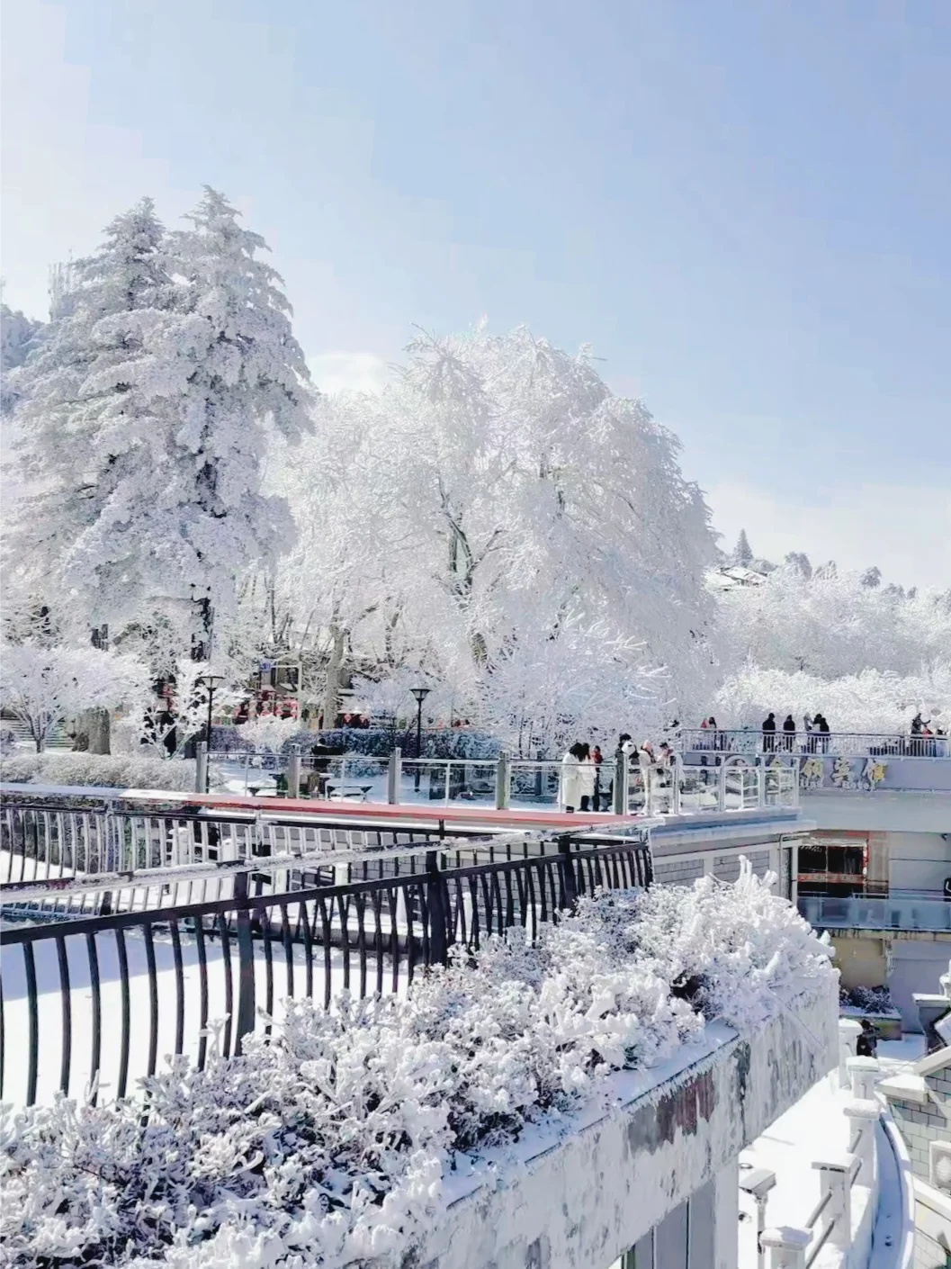 去年在庐山走了4万步,教你2日游玩精华景点