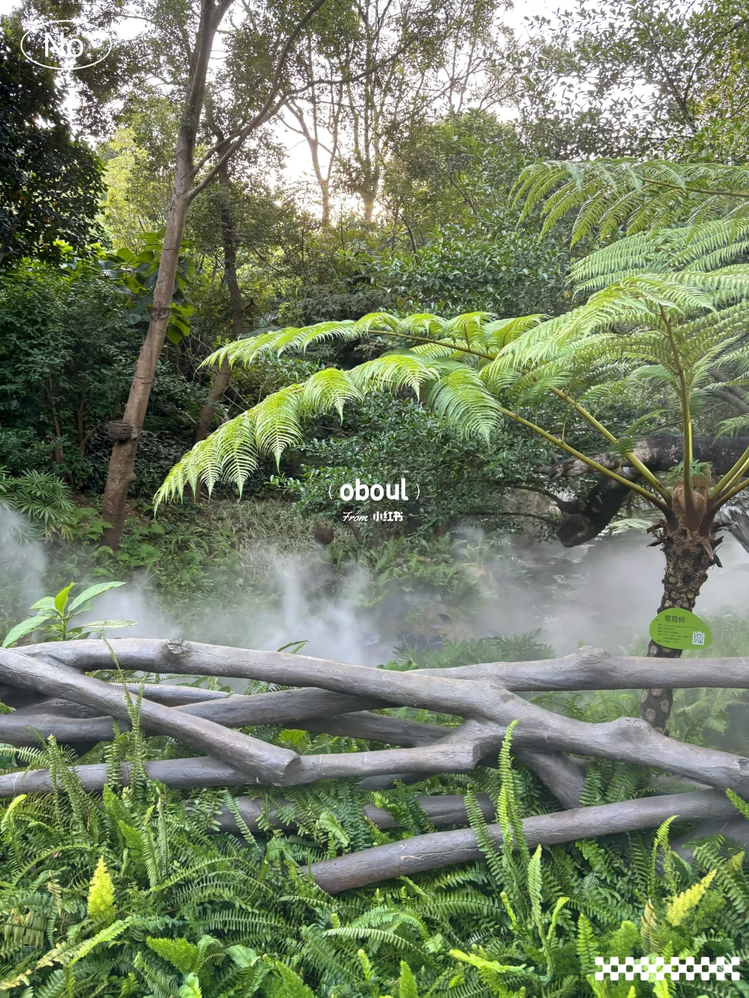 哇！广州又新晋一网红地！打卡走起！