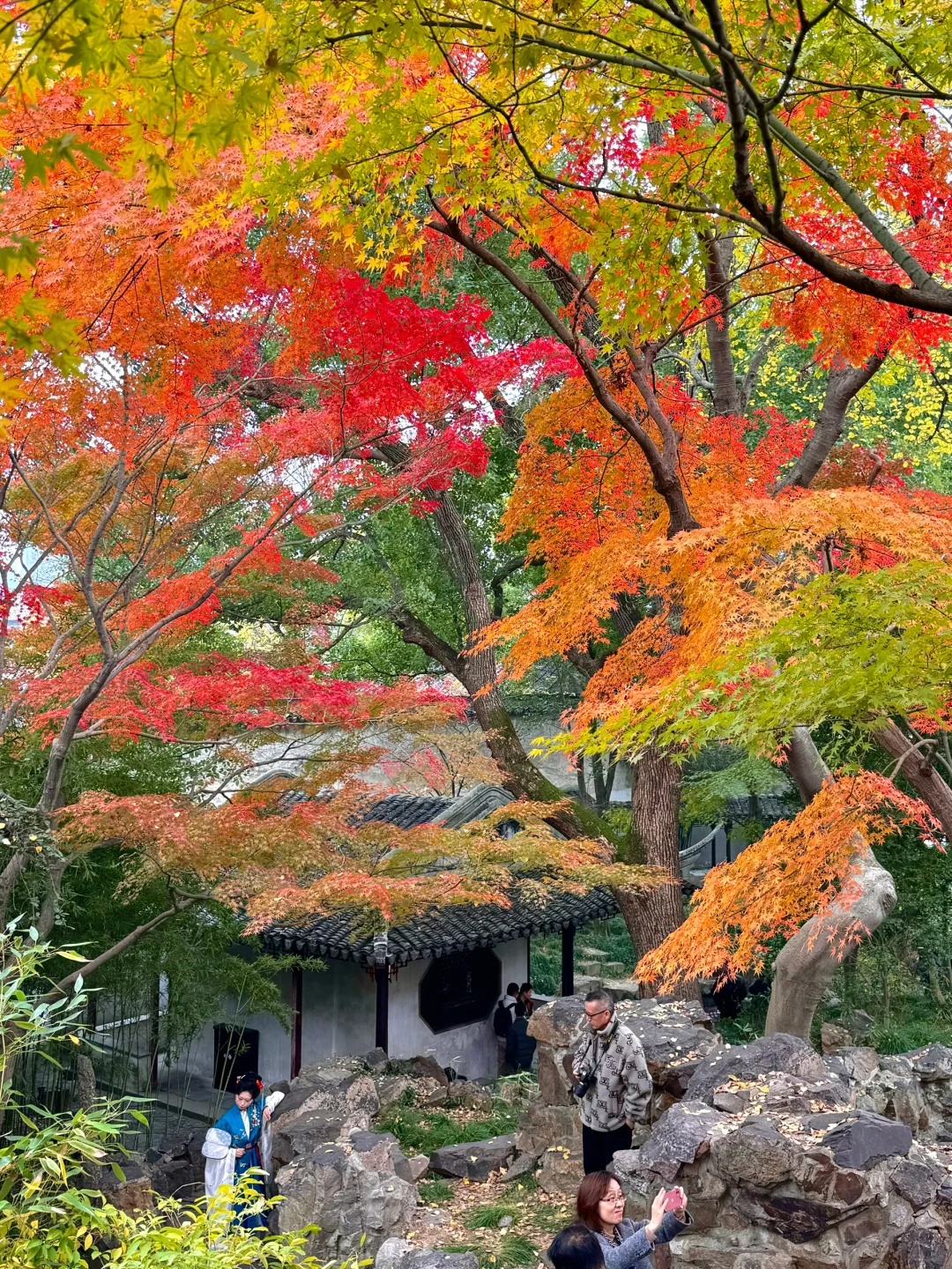 若不是亲眼所见 很难想象这是真实存在的😭