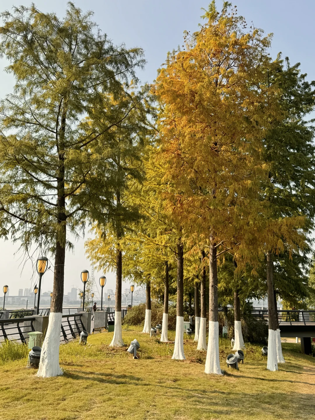 南昌小众景点合集（全部免费）