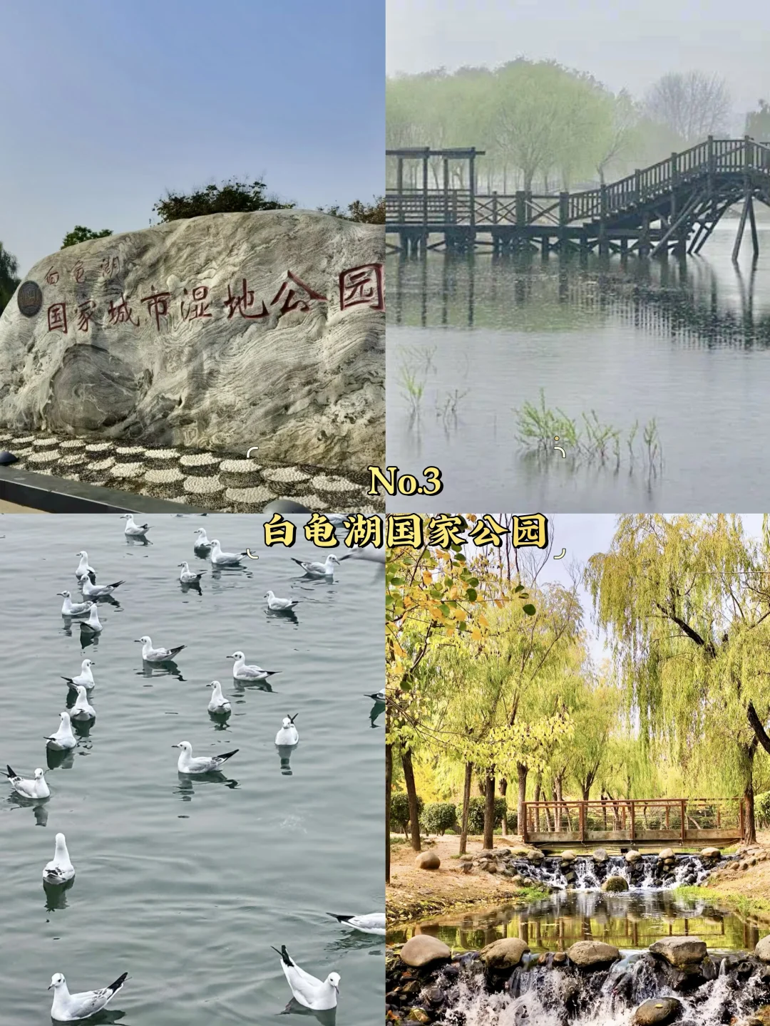 平顶山必去9大景点‼️平顶山旅游必看❗️